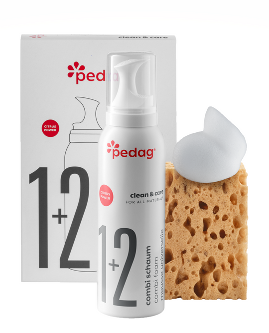 Combi Cleaner Aerosol