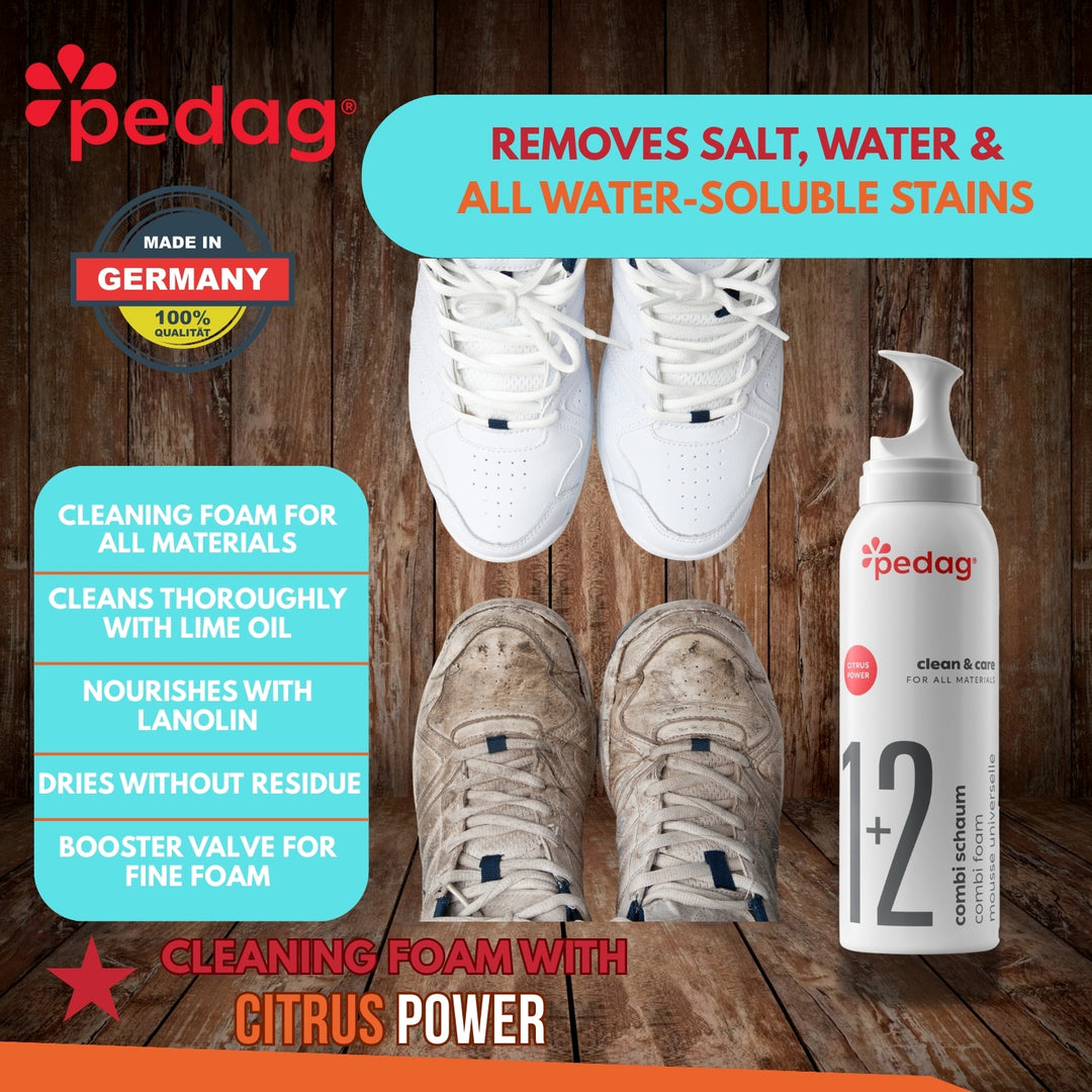 Combi Cleaner Aerosol